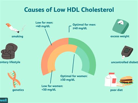 blood cholesterol levels can be lowered by quizlet